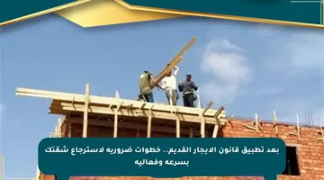 بعد تطبيق قانون الإيجار القديم.. خطوات ضرورية لاسترجاع شقتك بسرعة وفعالية